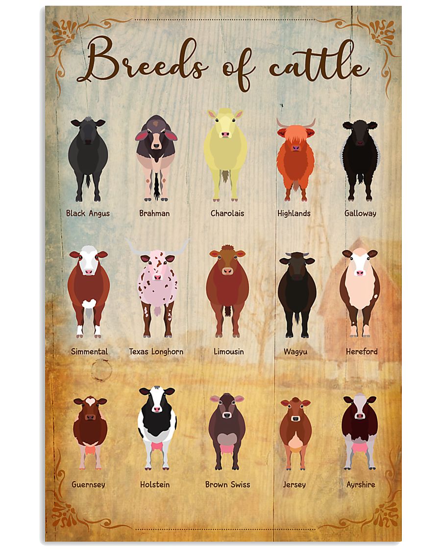 Cow Let Me Check My Giveashitometer Nope Nothing 11x17 Poster
