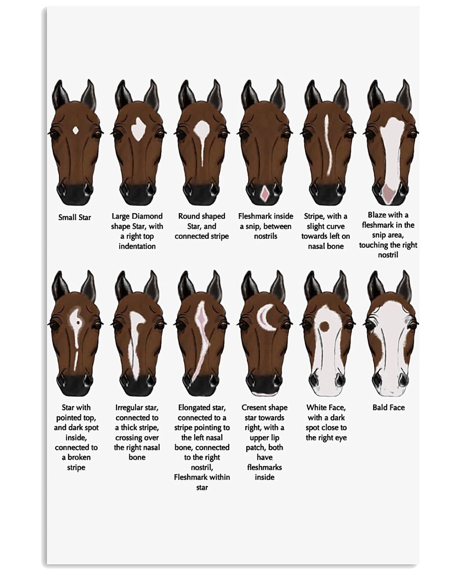 Horse Knowledge 16x24 Poster
