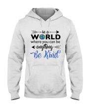Be Anything Be Kind Hooded Sweatshirt thumbnail
