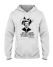 I Became Insane Hooded Sweatshirt thumbnail