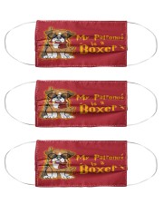 N-dogss-2407-Q122 Cloth Face Mask - 3 Pack front