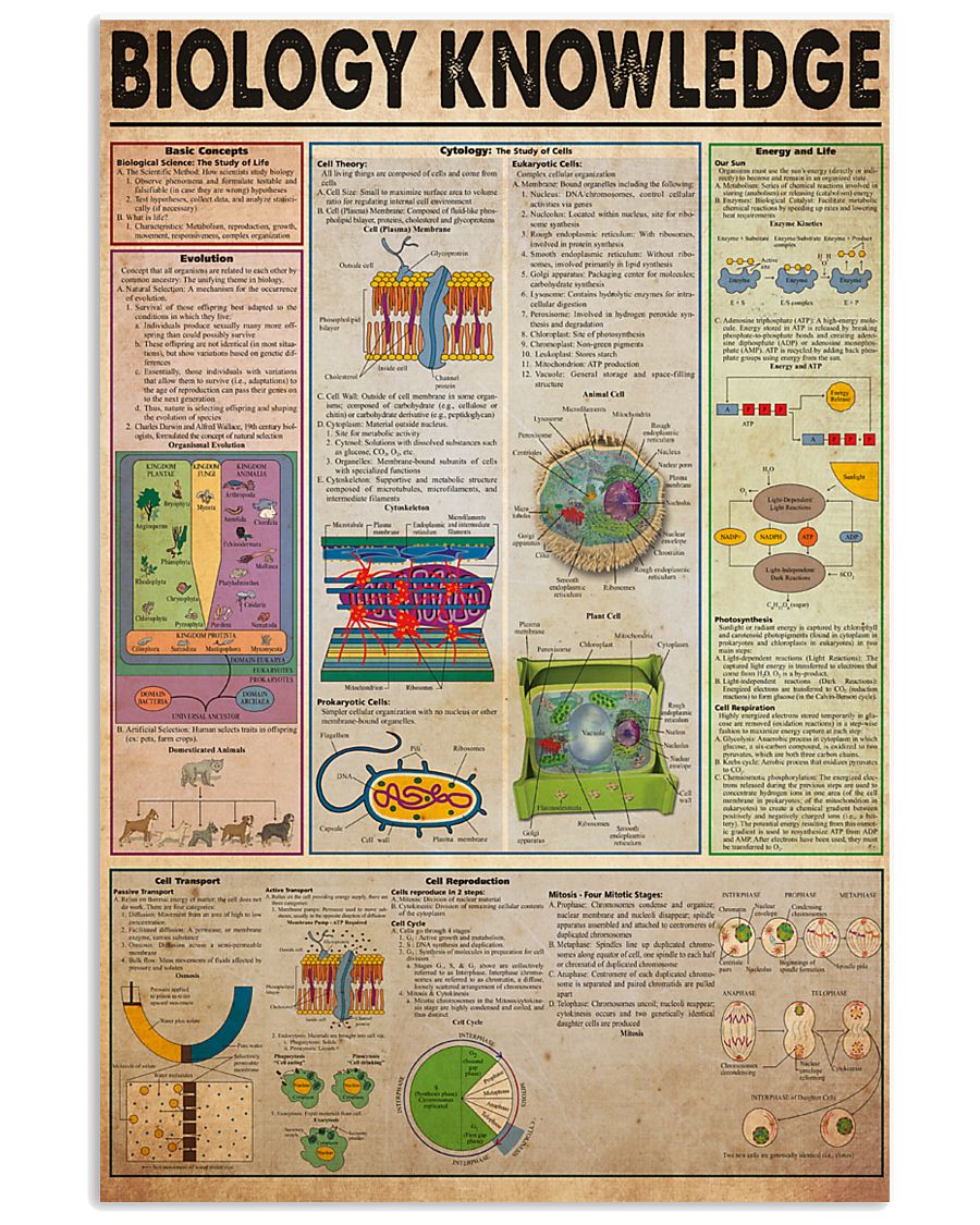biology-knowledge21 11x17 Poster