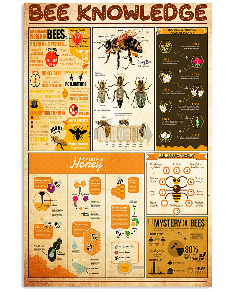 bee-knowledge 24x36 Poster