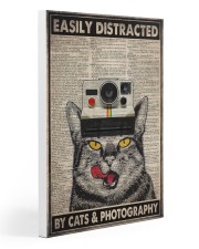 Cats photography easily distracted pt dvhh ngt Gallery Wrapped Canvas Prints tile