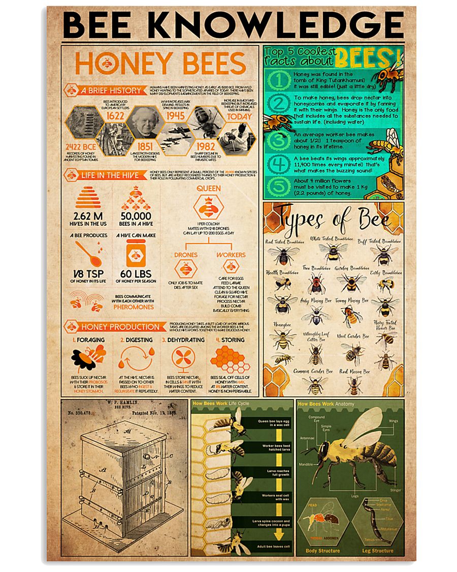 1bee knowledge 24x36 Poster