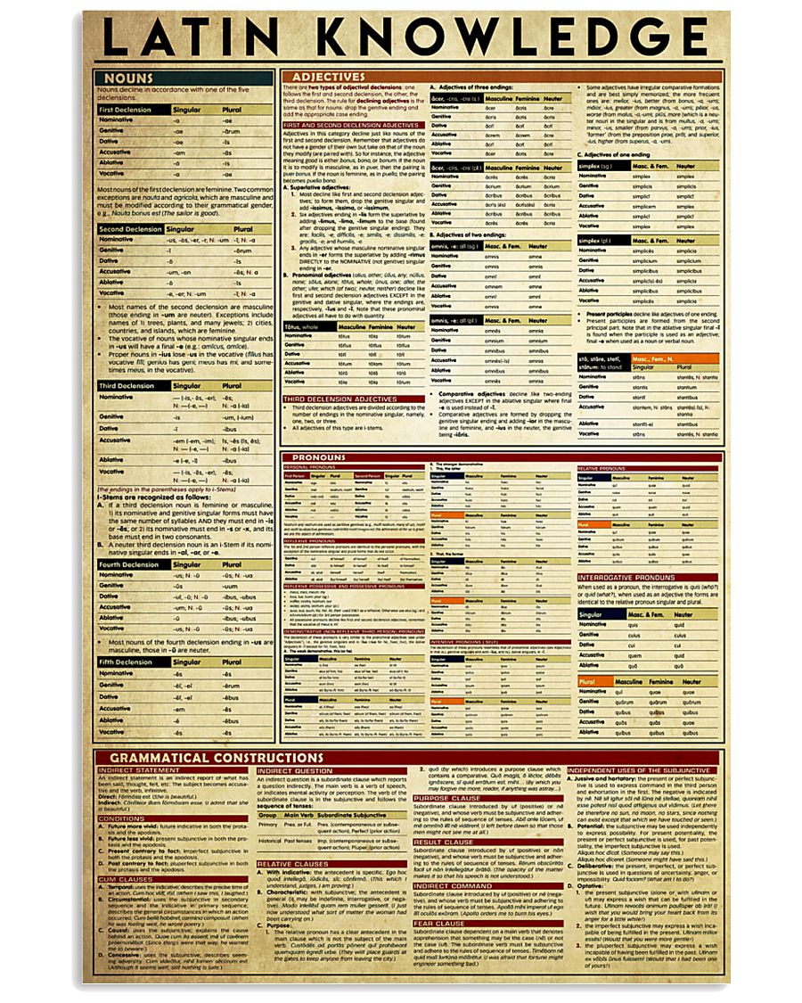 latin-knowledge-grammar 11x17 Poster