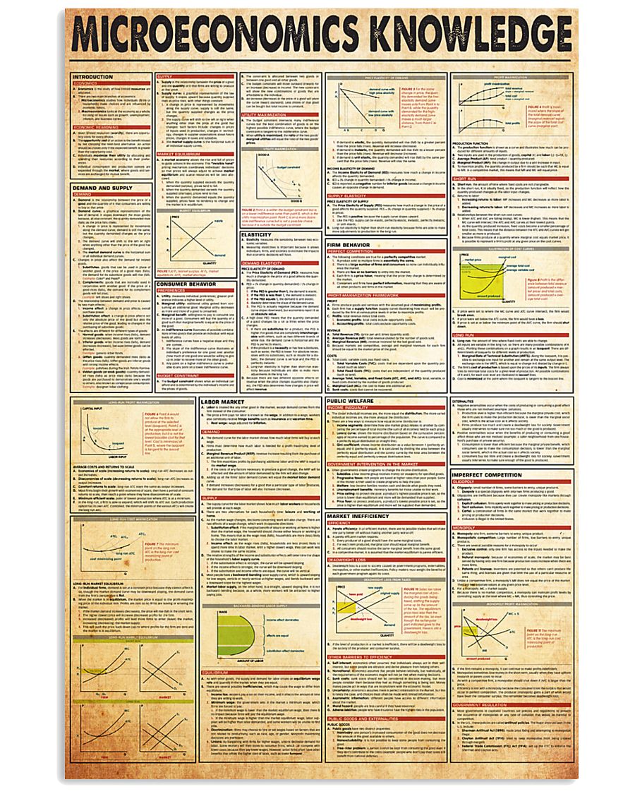 microeconomics-knowledge 24x36 Poster