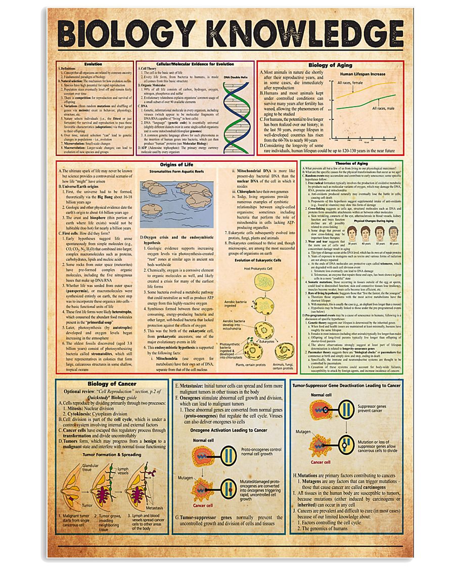 3biology-knowledge 11x17 Poster