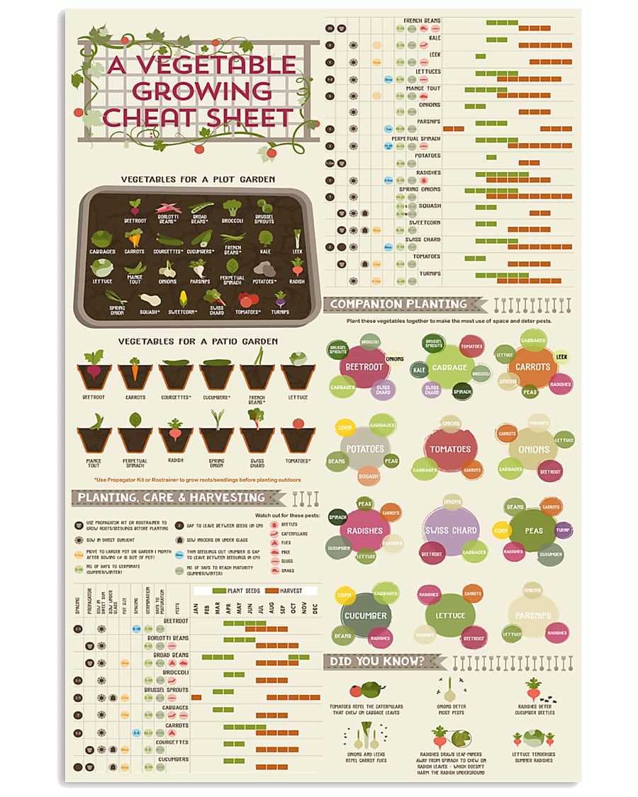 vegetables gardening knowledge 24x36 Poster