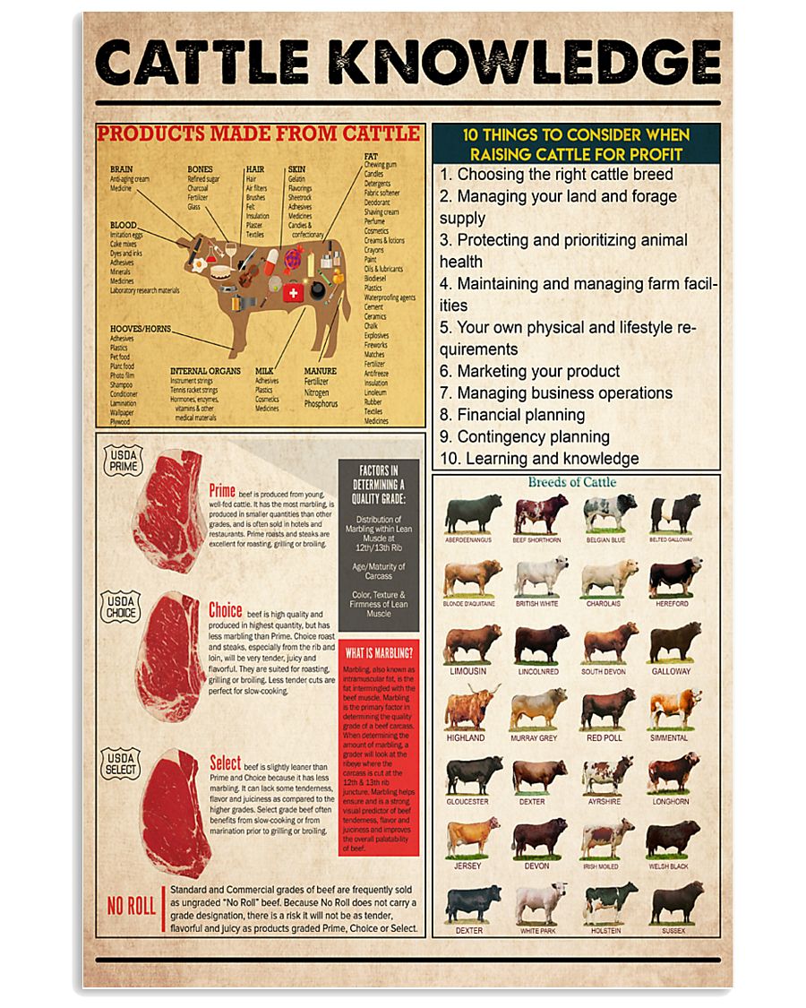 Cattle Knowledge 11x17 Poster
