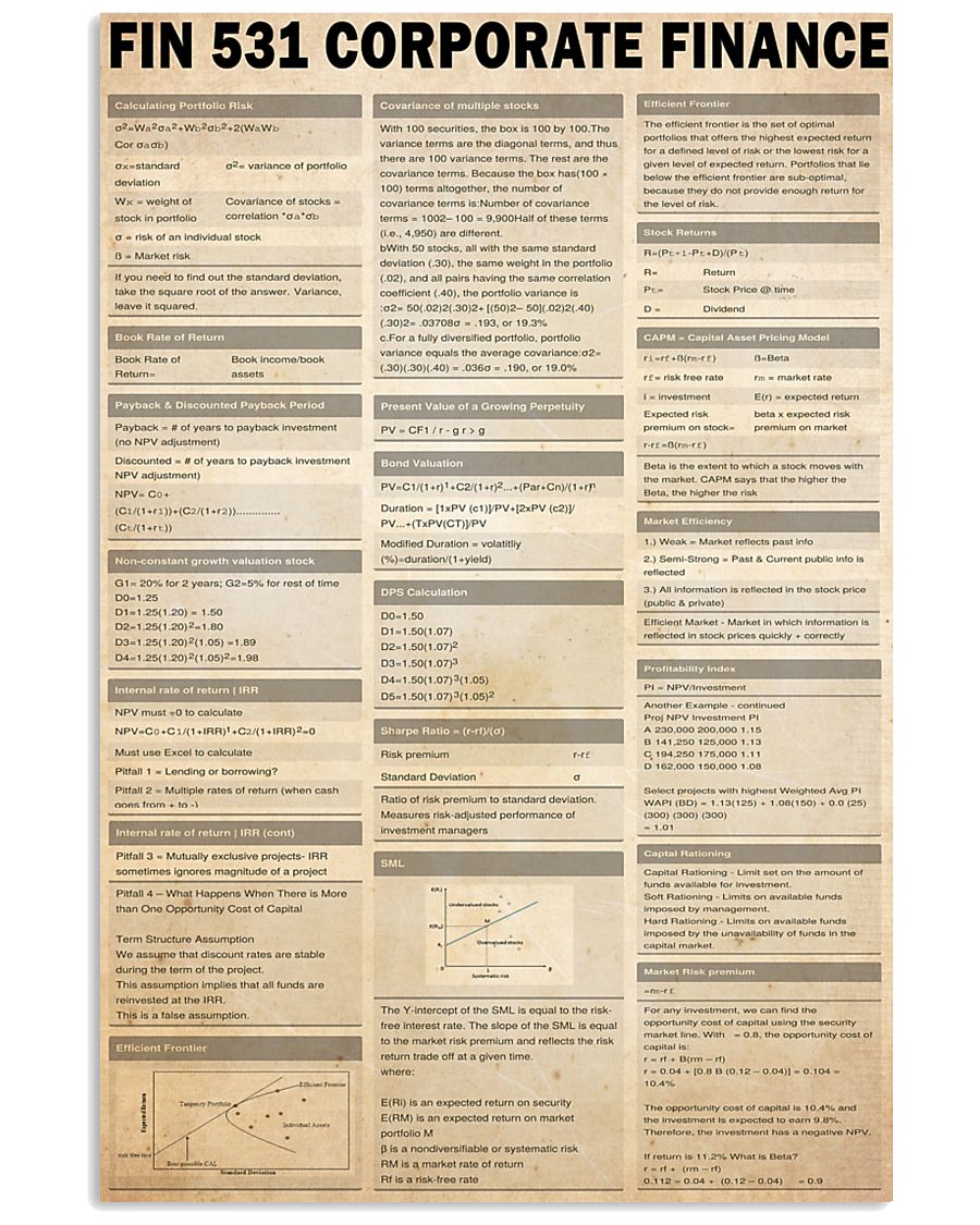 FIN 531 Corporate Finance 24x36 Poster