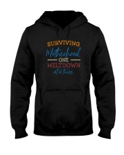 SURVIVING MOTHERHOOD ONE MELTDOWN AT A TIME Hooded Sweatshirt thumbnail