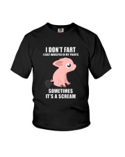 I DIDN'T FART I JUST WHISPER AT MY PANTS PIG Youth T-Shirt thumbnail