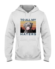 TO ALL MY HATERS Hooded Sweatshirt tile
