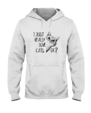 I JUST REALLY LOVE CATS Hooded Sweatshirt thumbnail