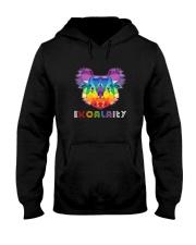 EKOALAITY RAINBOW Hooded Sweatshirt thumbnail