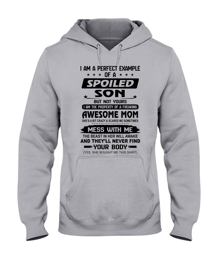 1 DAY LEFT - GET YOURS NOW Hooded Sweatshirt
