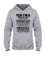 1 DAY LEFT - GET YOURS NOW Hooded Sweatshirt front
