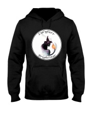 LucyFurr BrightStar Hooded Sweatshirt front