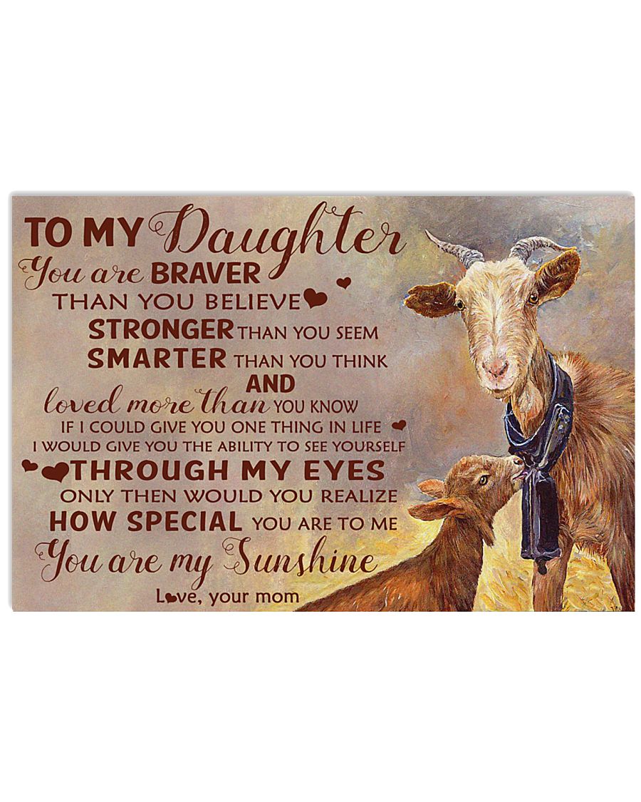 Poster 17x11 Poster