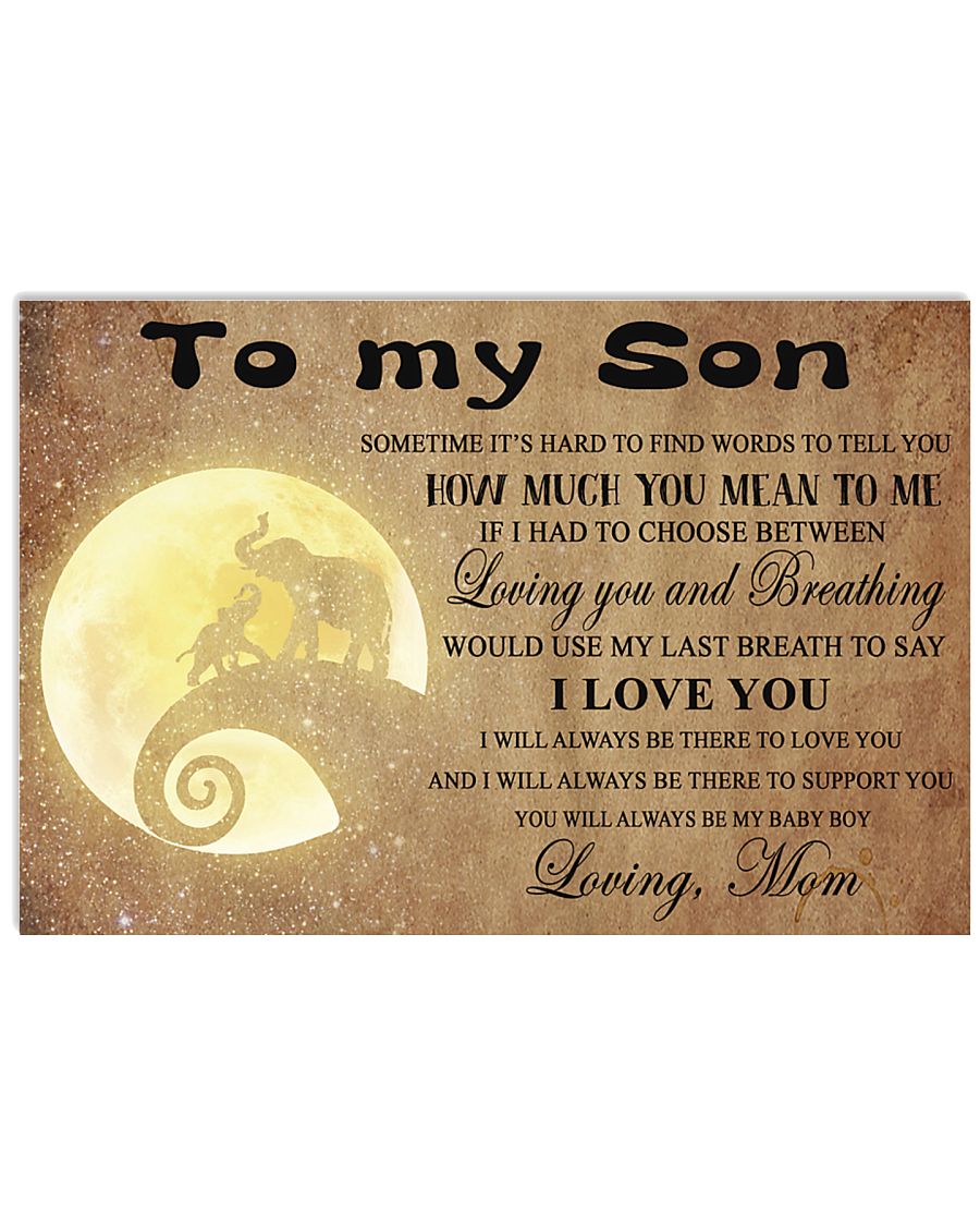 Poster 17x11 Poster