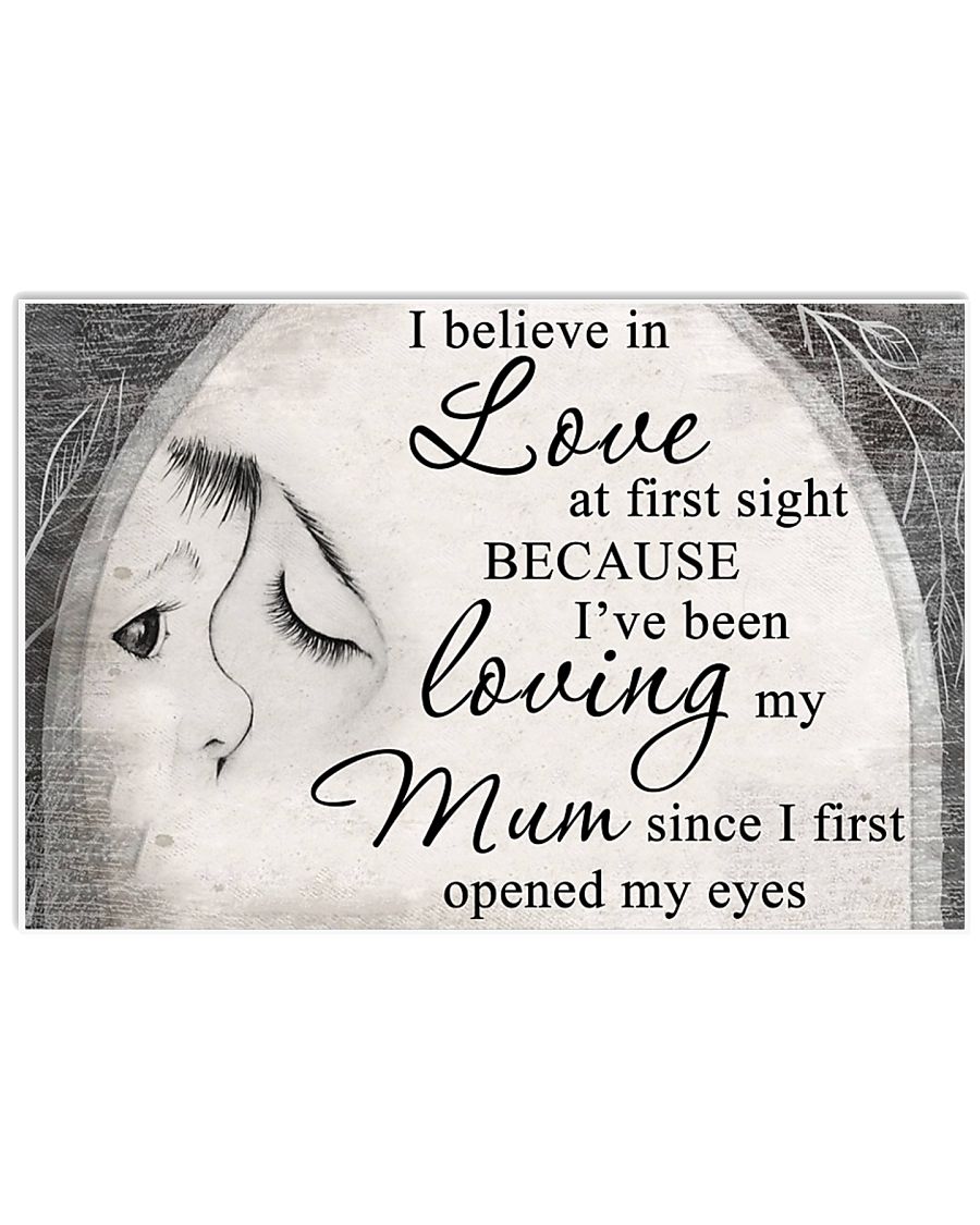 Poster 17x11 Poster