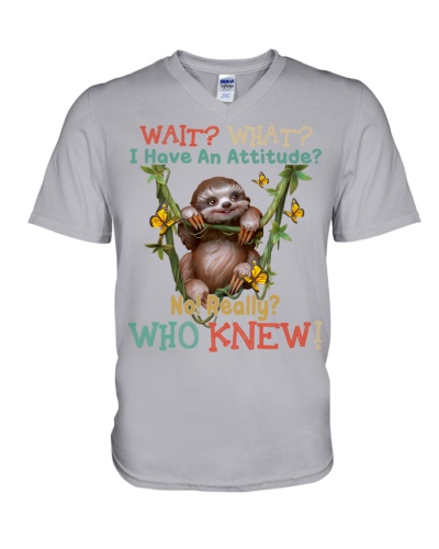 Sloth Funny V-Neck T-Shirt
