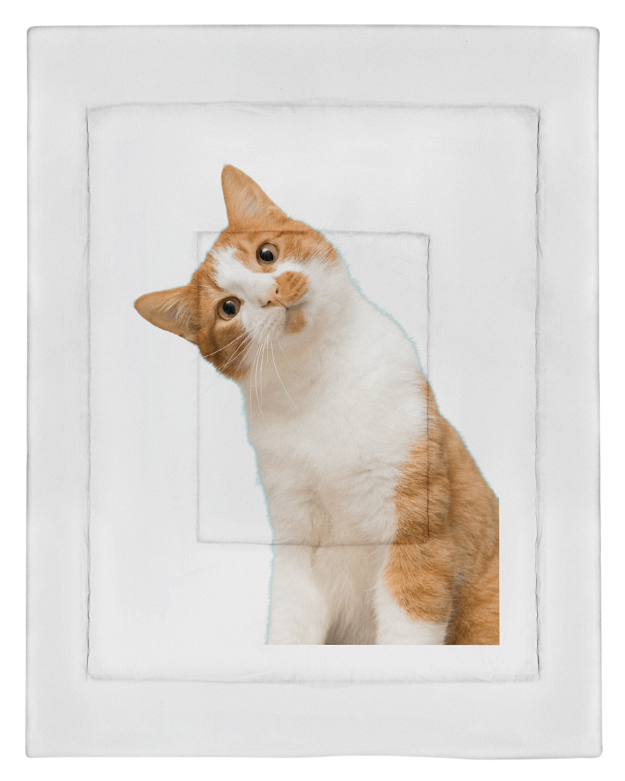 Funny kitty Comforter - Twin