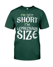 Leprechaun Size Premium Fit Mens Tee front