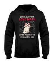 You Are Gonna Love Math Hooded Sweatshirt front