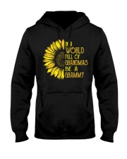 In A World Full Of Grandmas Be A Grammy Hooded Sweatshirt thumbnail