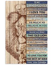 GD This Old Lion Will Always Have Your Back 11x17 Poster front