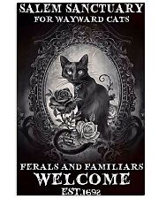 Salem Salem Saberhagen 11x17 Poster front