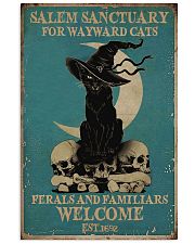 Salem Sanctuary for Wayward Cats 11x17 Poster front