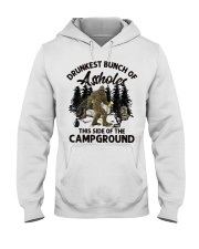 Drunkest Bunch Of Asshole Beer Campground Hooded Sweatshirt tile