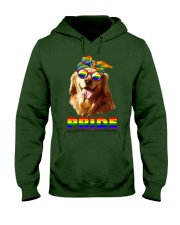 gay Hooded Sweatshirt front