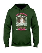 persian Hooded Sweatshirt front