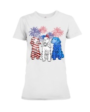Irish Setter flag colors Premium Fit Ladies Tee tile