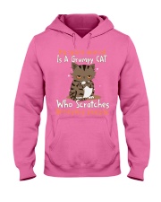 Cat annoying people cat lovers cat moms Hooded Sweatshirt tile