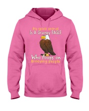 Eagle annoying people eagle lovers Hooded Sweatshirt tile