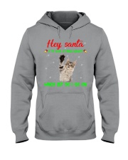 ln cat hey santa Hooded Sweatshirt tile