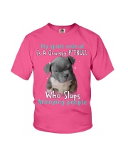 Pitbull annoying people pitbull lover dog moms Youth T-Shirt tile