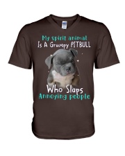 Pitbull annoying people pitbull lover dog moms V-Neck T-Shirt tile