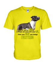Pitbull if you are lucky pitbull lovers V-Neck T-Shirt tile