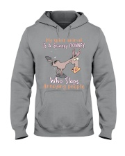 Donkey annoying people donkey lovers Hooded Sweatshirt tile