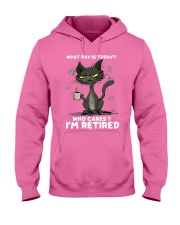 Cat I Am Retired Hooded Sweatshirt tile