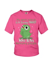 Parrot annoying people birds parrot lovers ver2 Youth T-Shirt tile