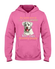 Labrador retriever annoying people cus tjl Hooded Sweatshirt tile