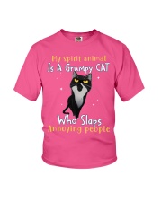 Cat annoying people cat lovers cat moms Youth T-Shirt tile