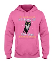 Cat annoying people cat lovers cat moms Hooded Sweatshirt tile